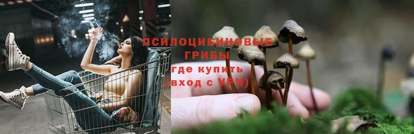 соль курить ск Абаза