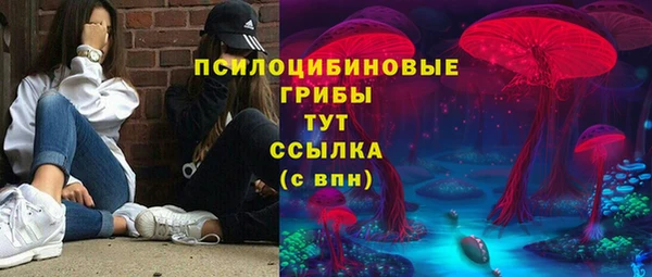 a pvp Абинск