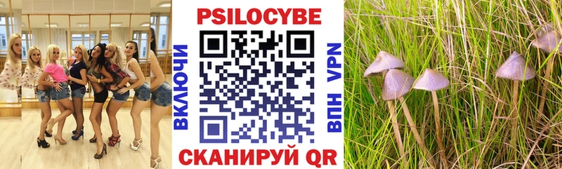 Псилоцибиновые грибы GOLDEN TEACHER  Алдан 